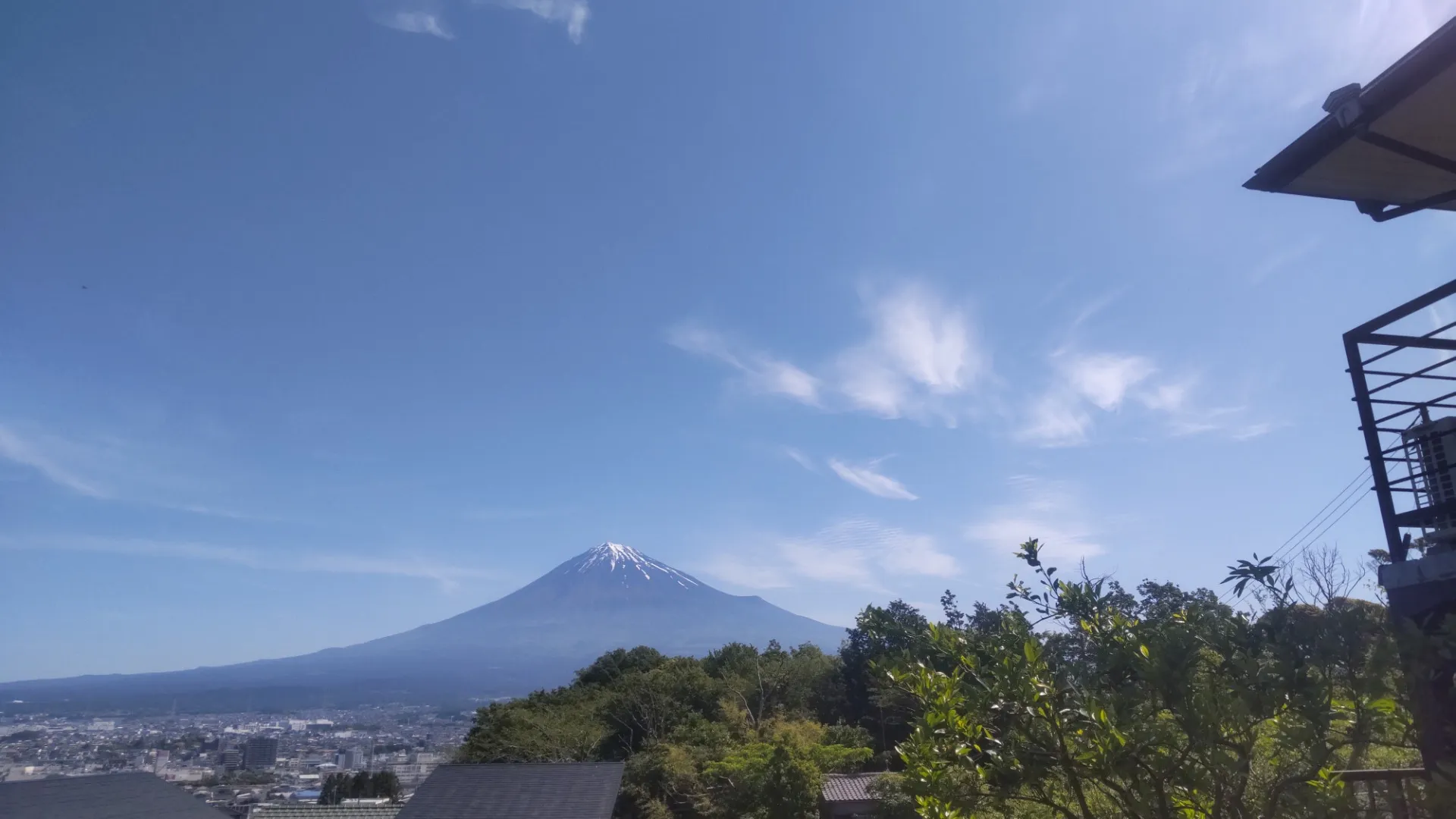 インコとのお別れ、おやつと共に火葬